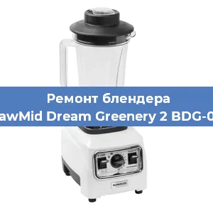 Замена щеток на блендере RawMid Dream Greenery 2 BDG-03 в Красноярске